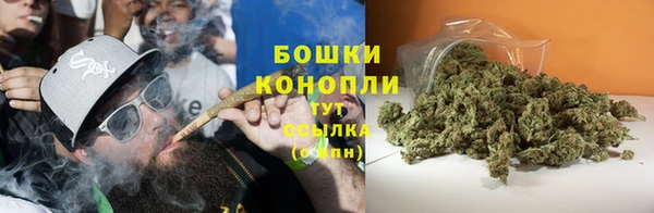 гидра Магас