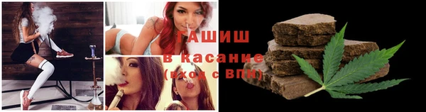 гидра Магас